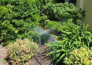 irrigated garden bed