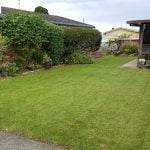 Perfectly mowed grass by Focal Point Landscape Maintenance