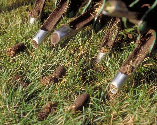 Lush Lawns: Aeration Services for Healthy Growth