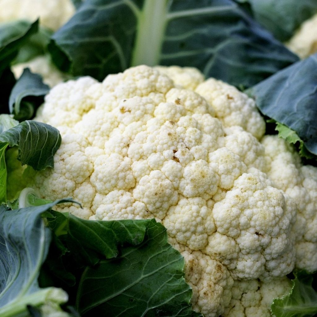 Winter cauliflowers