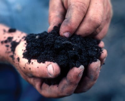 fresh soil with coffee grounds