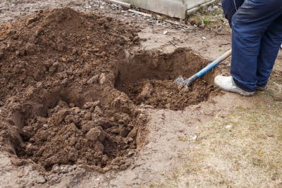 man digging a hole for planting a fruit tree in the garden.