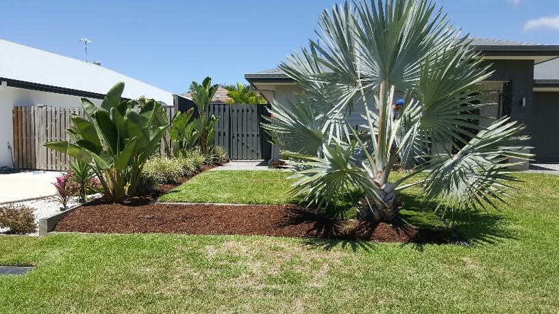 Pruning Services Gold Coast - Focal Point Landscape Maintenance