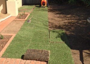 Focal Point turfing project phase 2