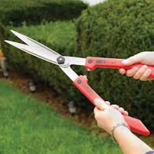 hedge sheers for hedge trimming