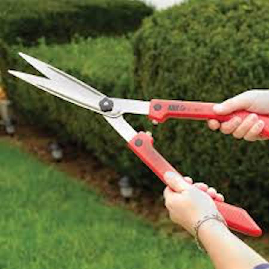 Three Tips For Better Pruning